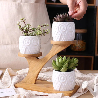 Home Decor